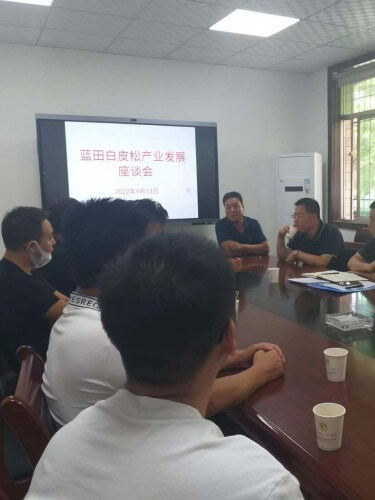 白皮松產(chǎn)業(yè)發(fā)展座談會